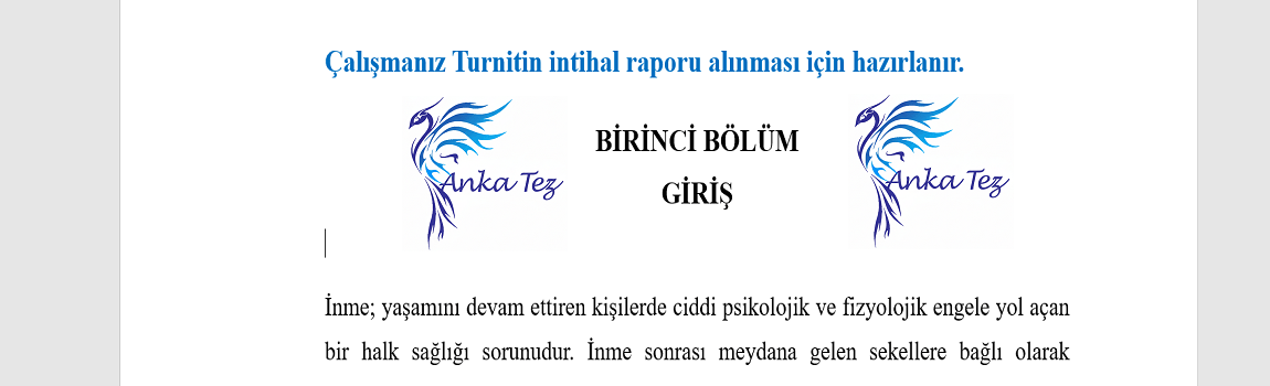 Turnitin İntihal Raporu Al-Adım 2