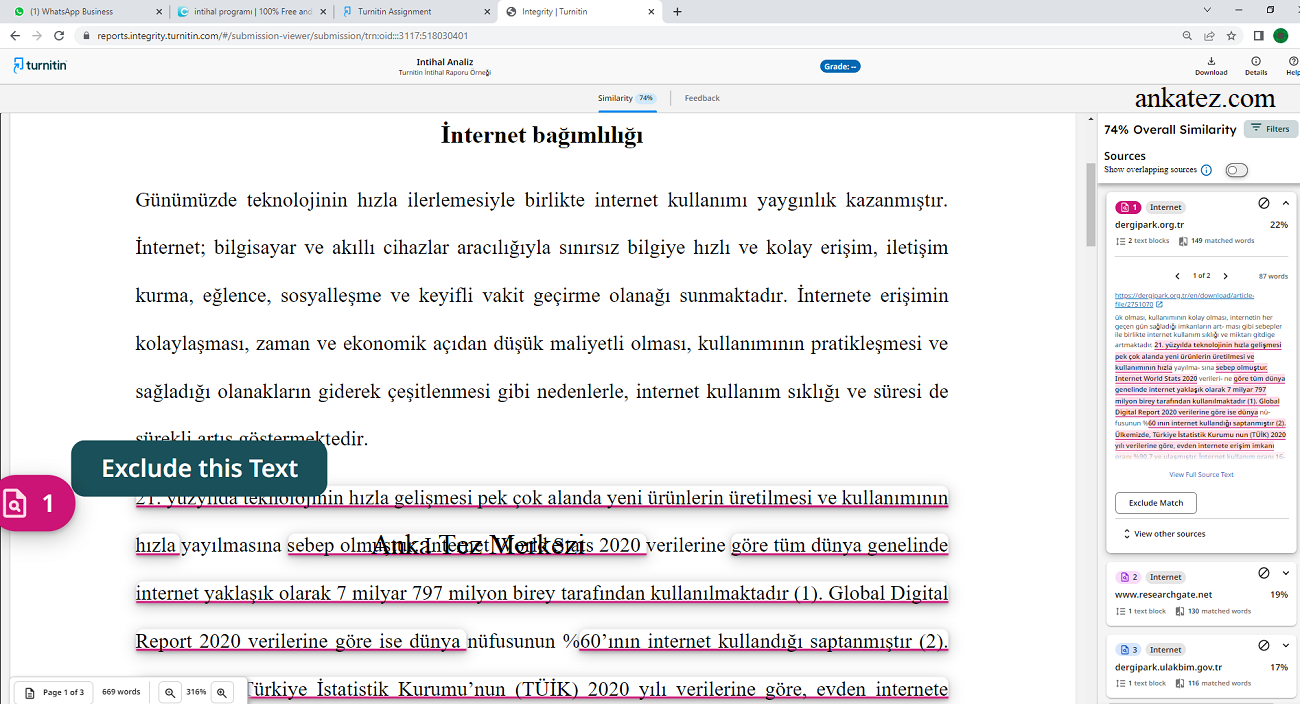 Turnitin İntihal Raporu