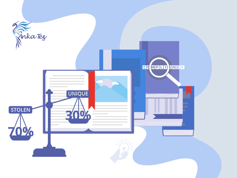 İntihal Raporu Ücreti 